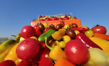 哲思 | ?認(rèn)知的四個(gè)層次，讀懂改變一生