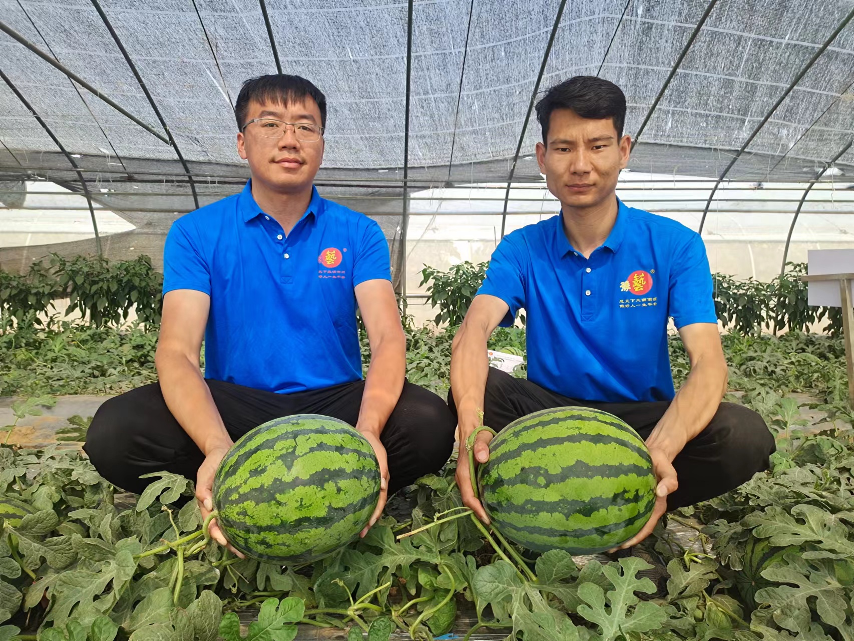 微信圖片_20230420085328.jpg 微信圖片_20230420085328.jpg