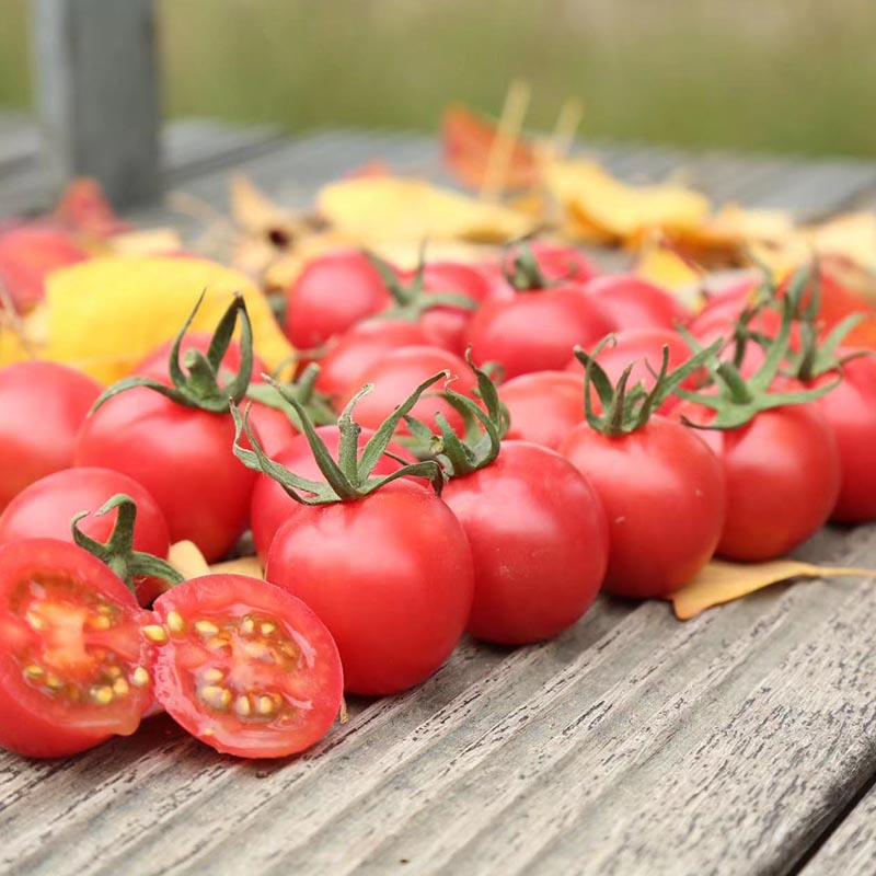 230426175807892db3.jpg 230426175807892db3.jpg