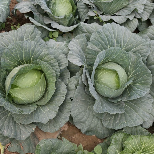 230314104107978769.jpg 230314104107978769.jpg